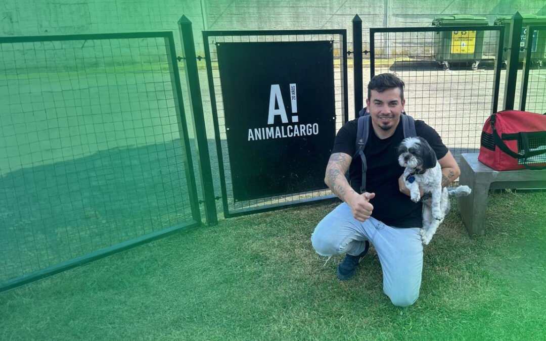 Pasaporte para mascotas