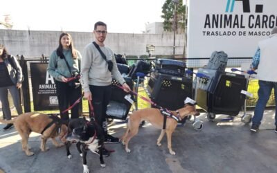 Sector Pet Friendly en el Aeropuerto de Ezeiza