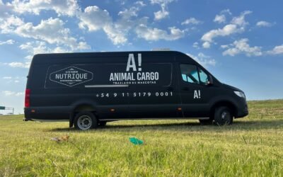 Riesgos a Evaluar en el Traslado de Mascotas: Guía Completa para Propietarios