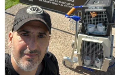 Claves para ingresar a Estados Unidos con tu Perro en 2025