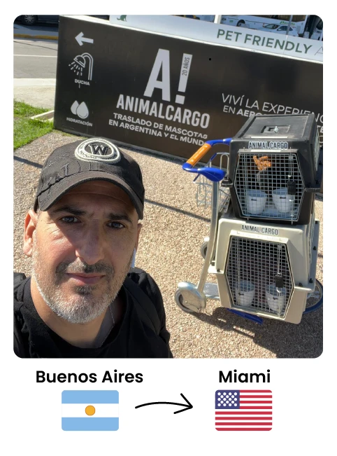 Claves para ingresar a Estados Unidos con tu Perro en 2025