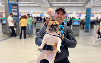 Viajar con perros de razas braquicéfalas: precauciones y recomendaciones