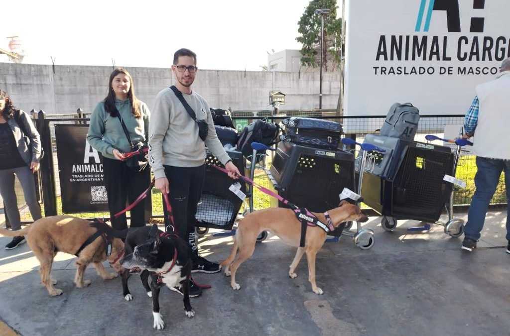 New Pet-Friendly Area at Aeroparque