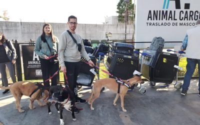 New Pet-Friendly Area at Aeroparque