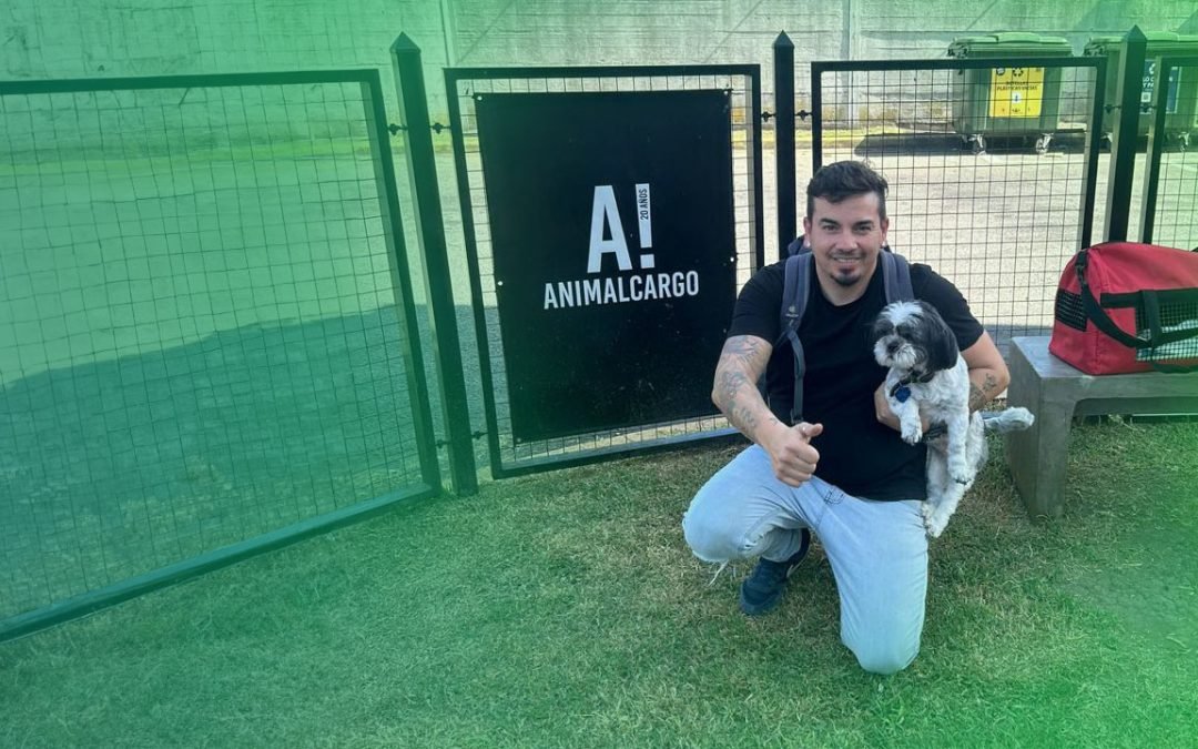 Pet passport: what is it, in which countries is it used, and how to obtain it?