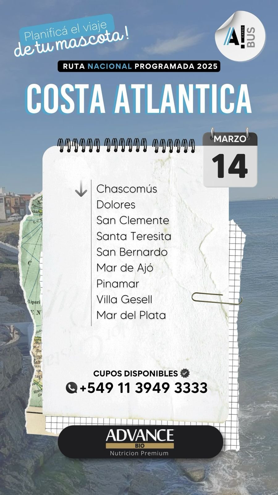 WhatsApp Image 2025-02-20 at 06.42.51