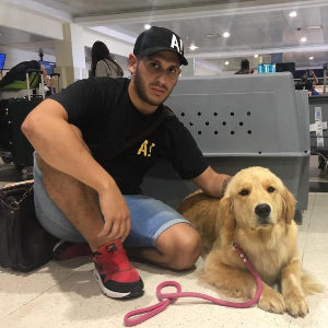 Marly crossed borders with Animal Cargo