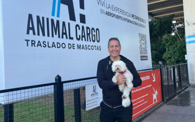 ¿Cómo es el servicio de traslado acompañado  mascotas en avión?