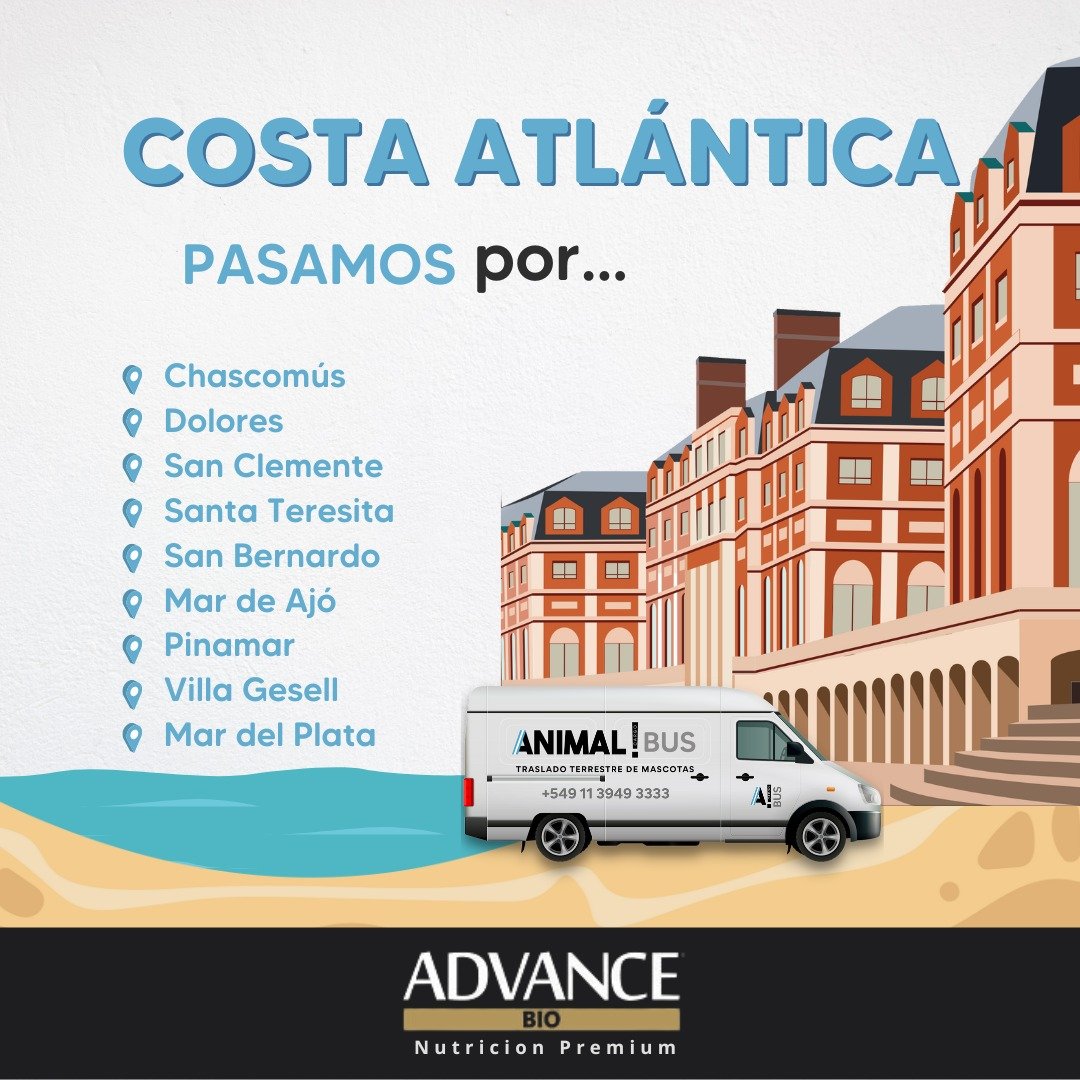 WhatsApp Image 2025-04-15 at 12.08.08