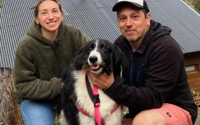 Cómo enviar tu mascota de una ciudad a otra en Argentina