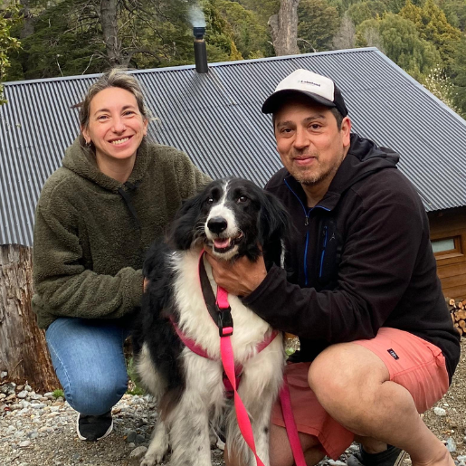 Cómo enviar tu mascota de una ciudad a otra en Argentina