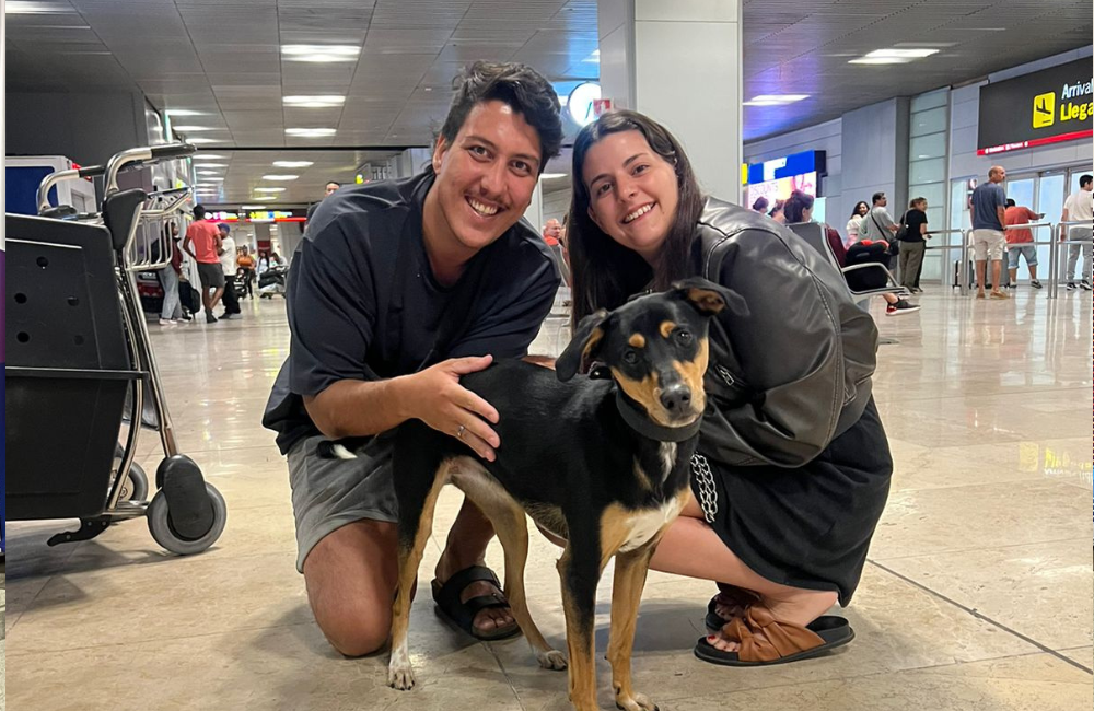 Animal Cargo Expertos en transporte de mascotas por tierra o aire. Servicio personalizado ¡Confía en nosotros para transportar a tu mascota!