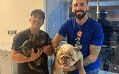 Asistencia para que puedas emigrar con tu mascota!