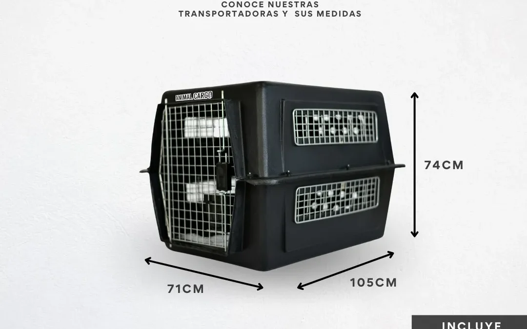 Special pet carriers for brachycephalic breeds