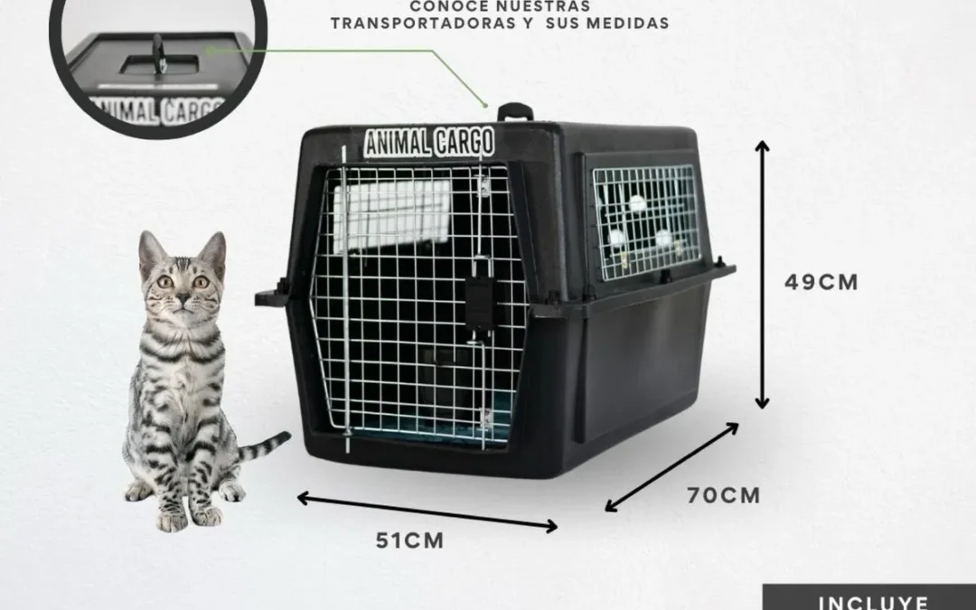 Animal Box 200 pet carrier for cats