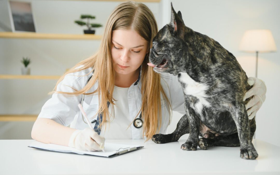 Test de Serología para Rabia: Lo Que Debes Saber Antes de Viajar con tu Mascota