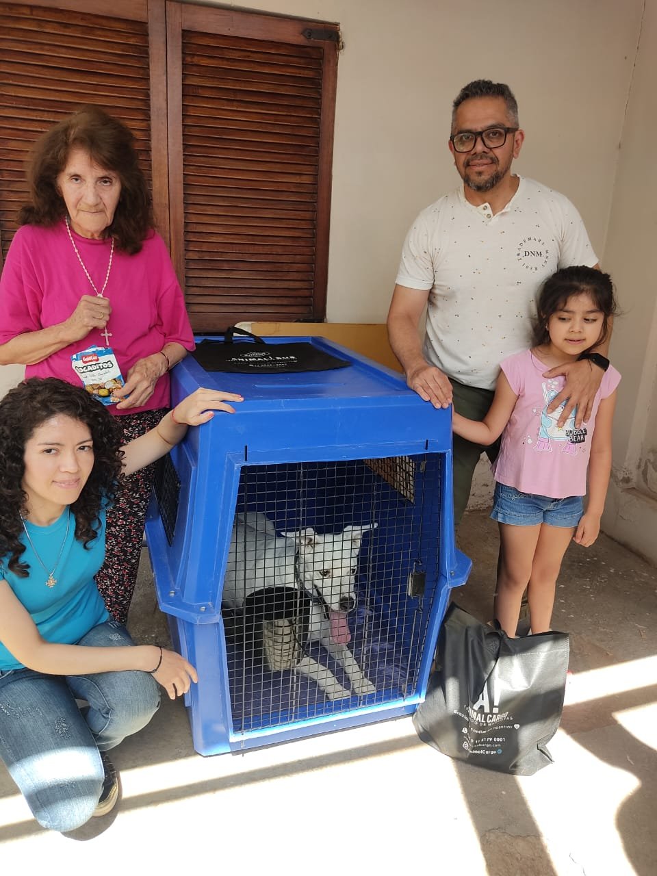 preparing your pet for air travel-with-proper carrier acclimation