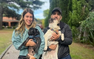 Guía de traslados de mascotas CABA, Córdoba, Mendoza, Rosario y todo Argentina.