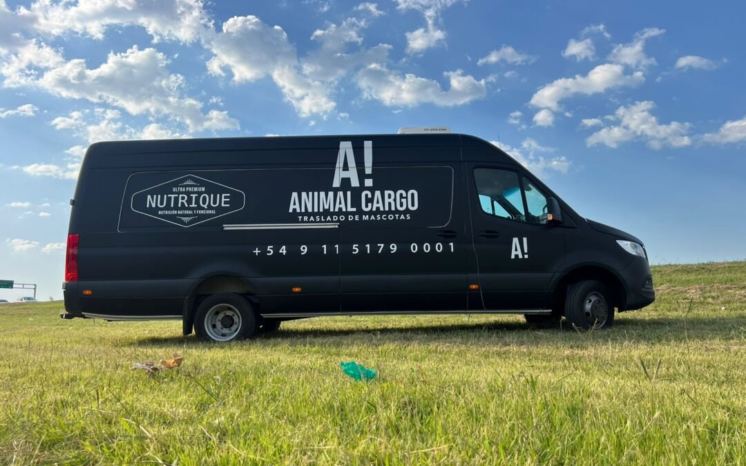 Risks to Assess When Transporting Pets: A Complete Guide for Owners