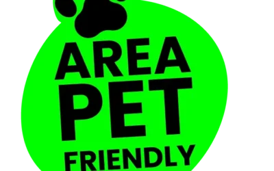 ¿Cuánto cuesta el traslado de una mascota en avión? Precio, Valor y Eficiencia