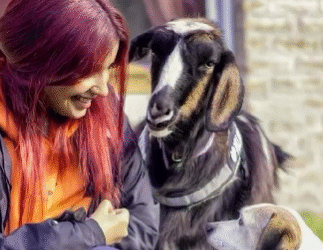 El viaje solidario de Vilma la Cabra