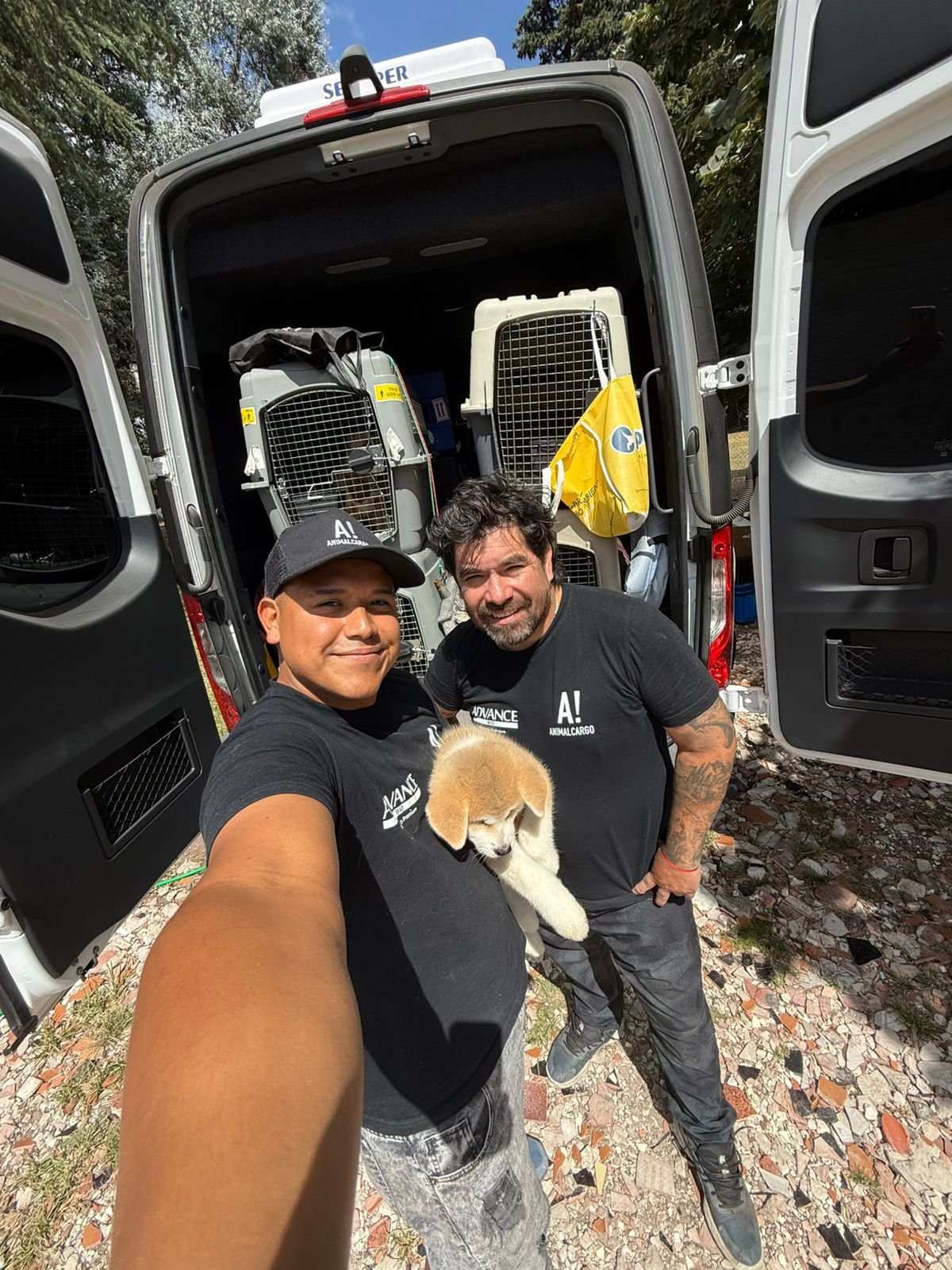 Combi para mascotas Animal Bus Argentina