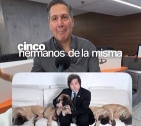 Los perros de Milei desde EE. UU. Cómo los trajimos?