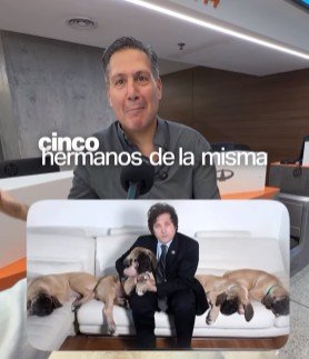 Historia de el traslado de los perros de Milei desde estados Unidos a Argentina.