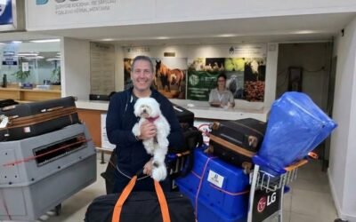 SENASA requirements guide for the international transport of pets