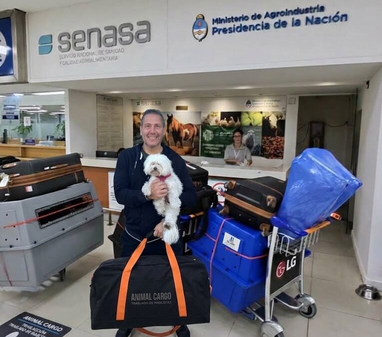 SENASA requirements guide for the international transport of pets