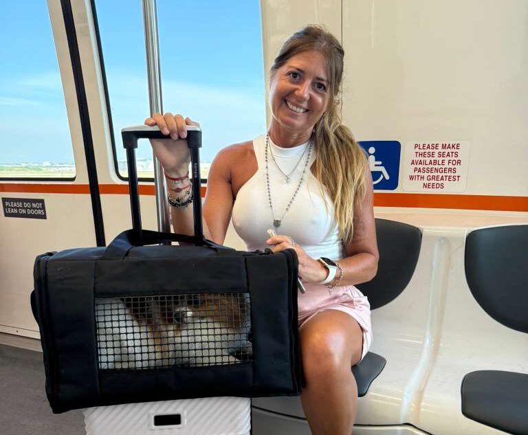 Viajar con tu Perro en la Cabina del Avion Bolso