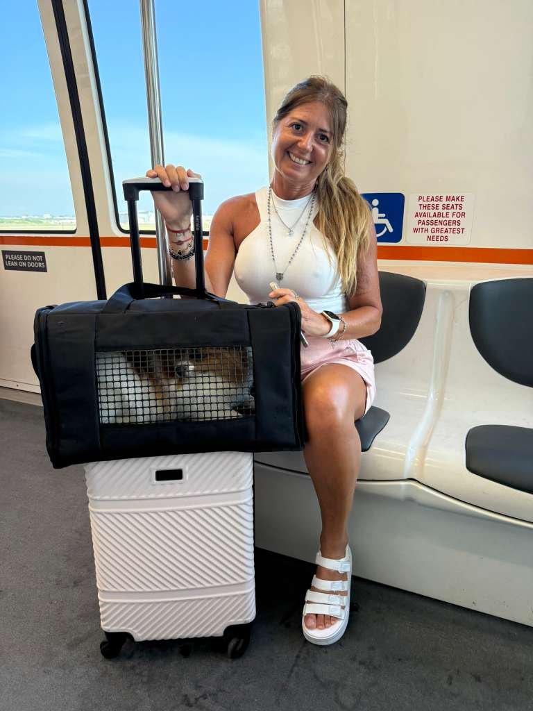 Viajar con tu Perro en la Cabina del Avion Bolso