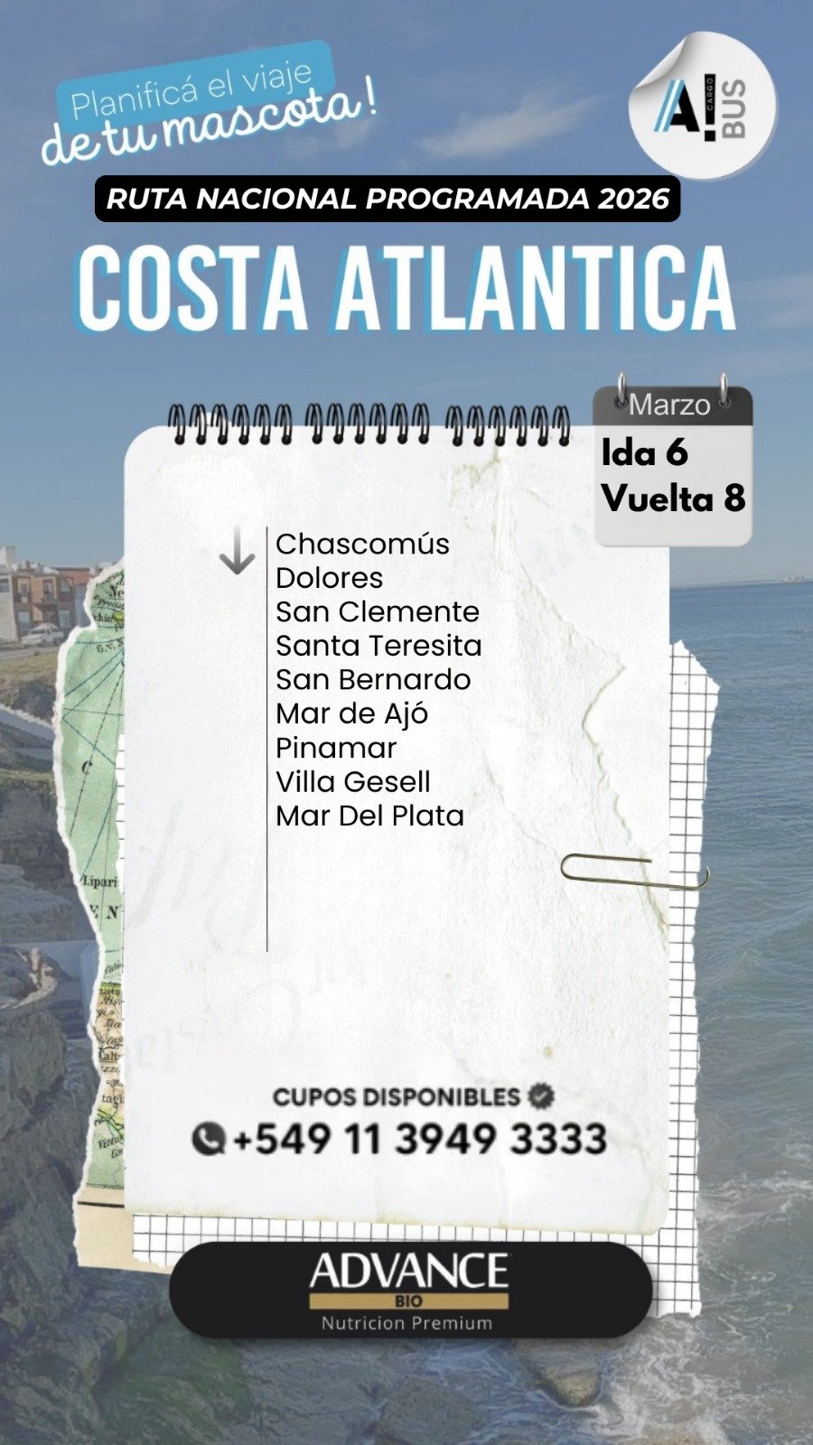 WhatsApp Image 2026-03-01 at 13.20.28 (1)