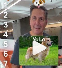¿Que tan difícil es viajar con tu perro en avión según su raza?