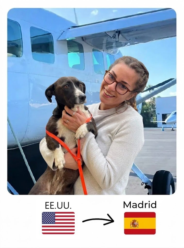 Mujer sonriente con su perro en brazos frente a una avioneta, en un viaje de EE.UU. a Madrid