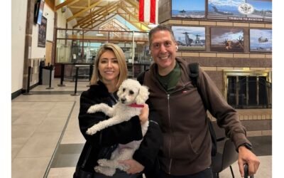 Cómo viajar con tu perro o gato desde Estados Unidos: guía paso a paso del USDA APHIS