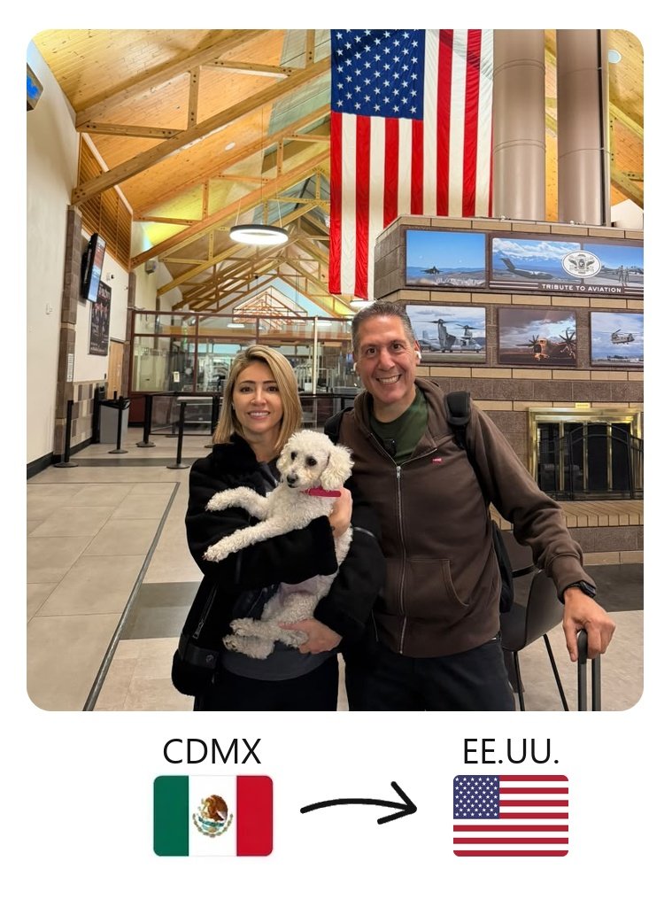 Viajar con tu mascota de Estados Unidos a España